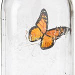 Elektronischer Schmetterling getdigital